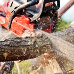 Kettensäge - Unterweisung / Arbeitsanweisung Safeguard | Unterweisungen für mehr Arbeitssicherheit – Evaluierung | Dokumentation | Vorlagen | Unterweisungen – Kettensäge