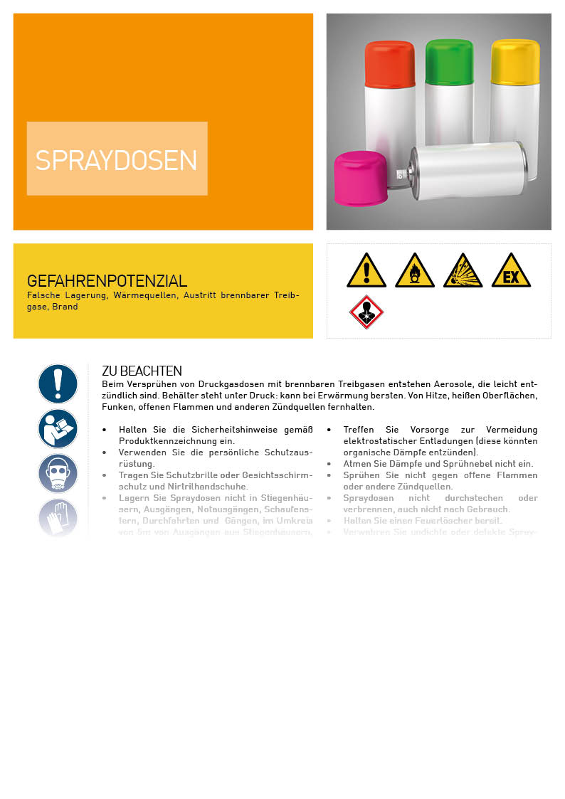 Spraydosen Unterweisung / Arbeitsanweisung SAFEGUARD