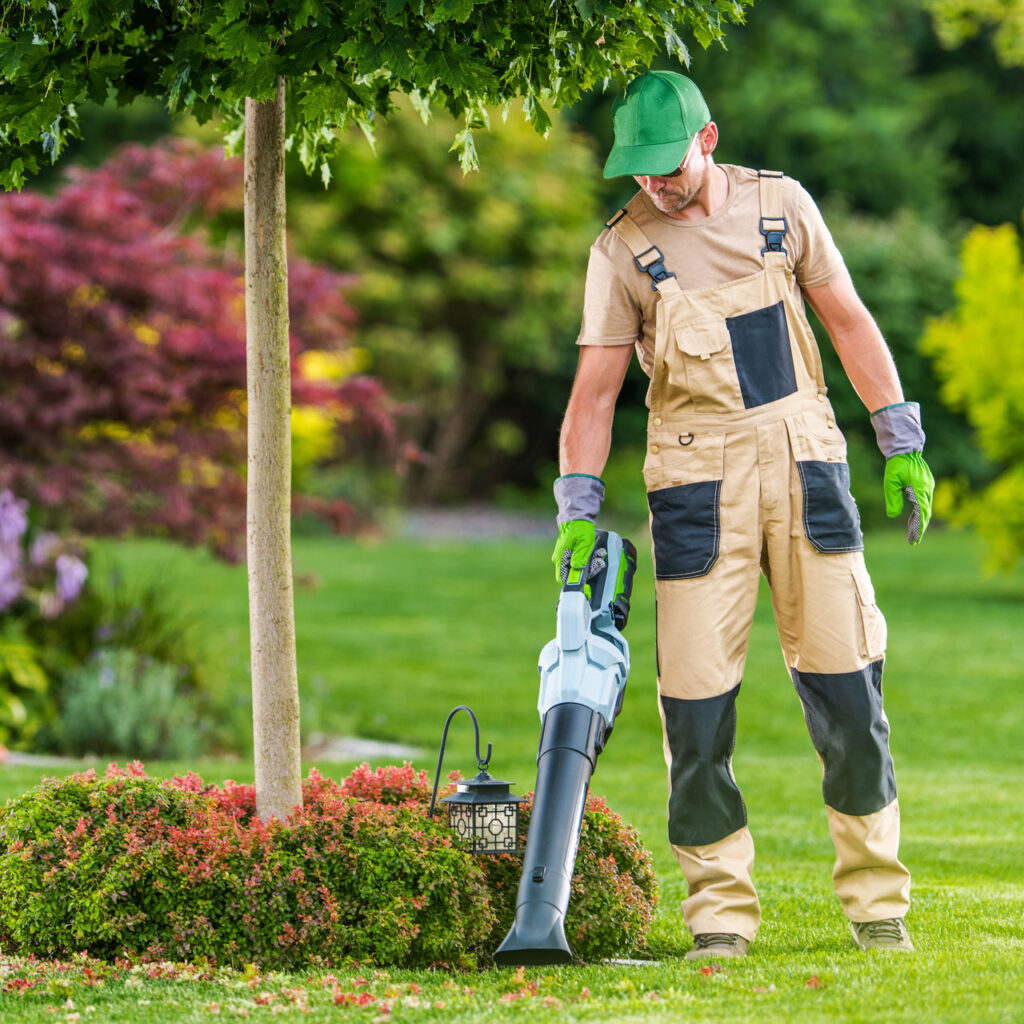 Unterweisung Laubsauger & Laubbläser Vorlage