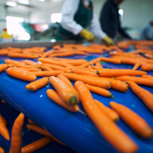 Karottenschäler / Karottenschälmaschine Unterweisung / Arbeitsanweisung (Vorlage)