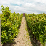 Laubhefter - Unterweisung / Arbeitsanweisung Unterweisung Laubhefter - Vorlage Arbeitsanweisung