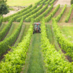 Stammputzer - Unterweisung / Arbeitsanweisung Unterweisung Stammputzer - Vorlage Arbeitsanweisung