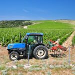 Stockräumer - Unterweisung / Arbeitsanweisung Unterweisung Stockräumer - Vorlage Arbeisanweisung