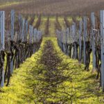 Vorschneider - Unterweisung / Arbeitsanweisung Unterweisung Vorschneider - Vorlage Arbeitsanweisung