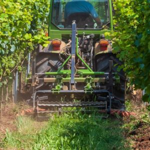 Bild-eines-Stockraeumer-Stockputzer-bei-der-Arbeit